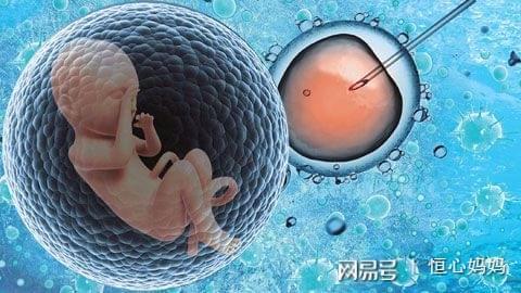万级层流胚胎实验室